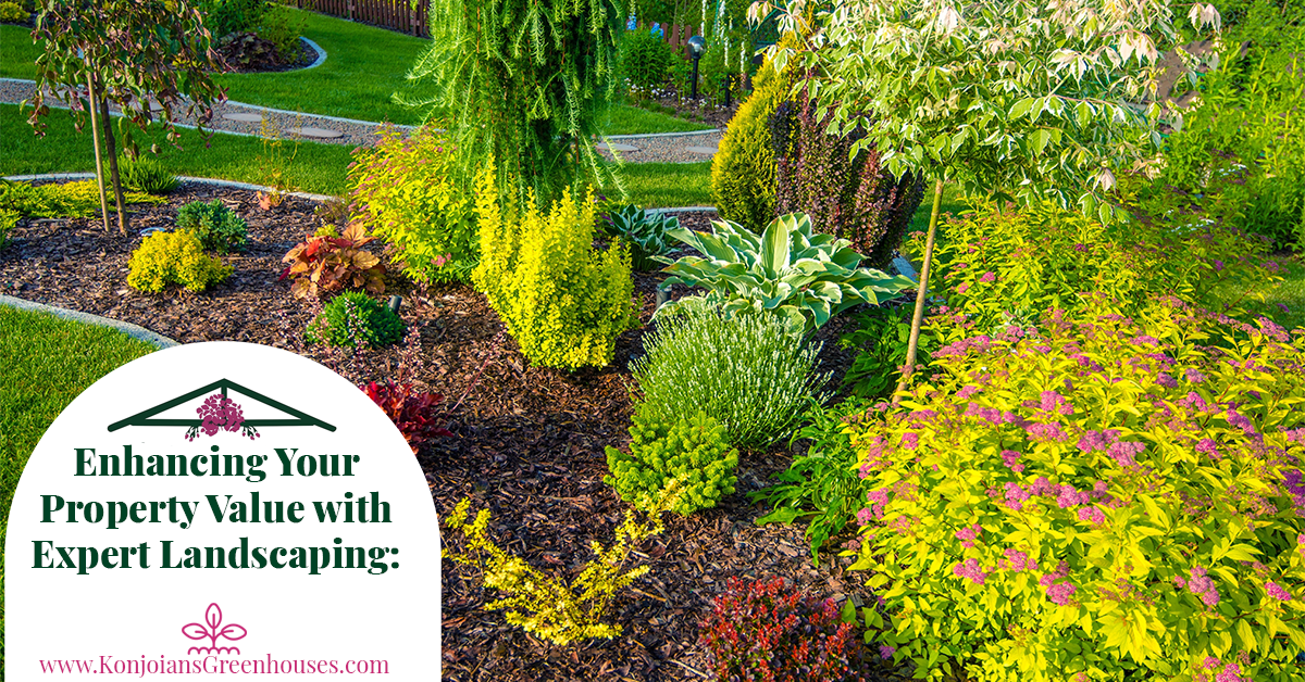 Colorful backyard garden landscaping enhancing property value.